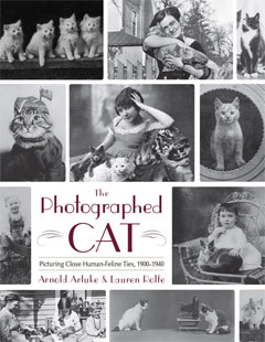 The Photographed Cat